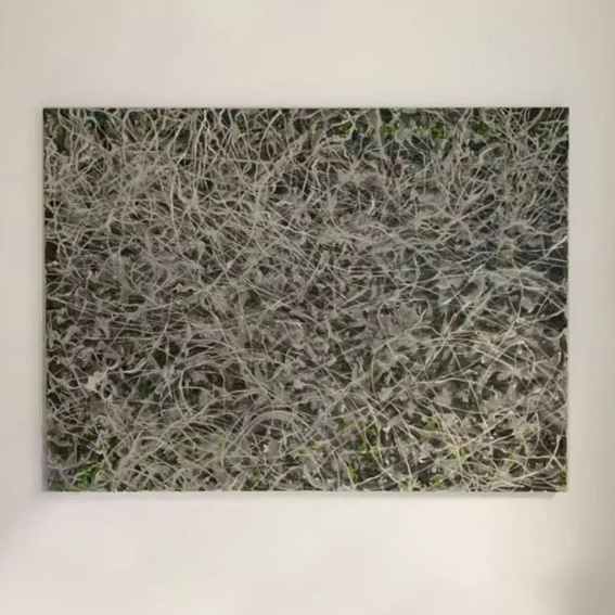 终于一切都慢了下来！【静谧】