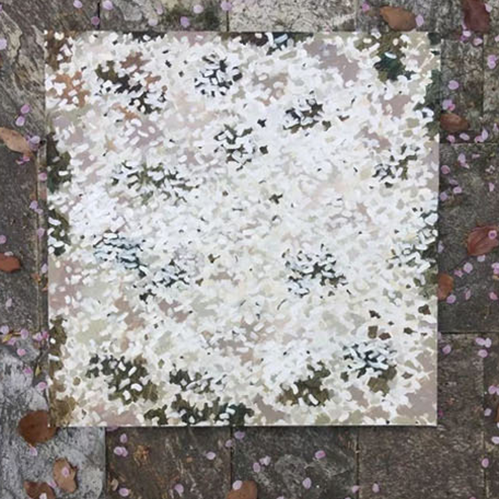早樱花