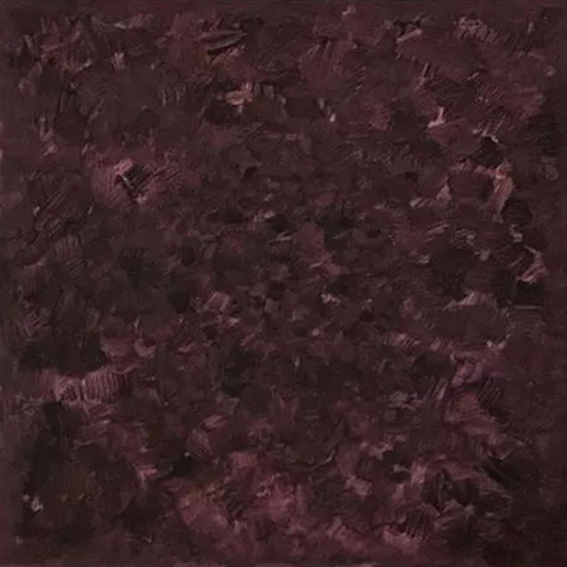 红花檵木/2018